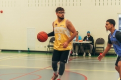 DSC3517